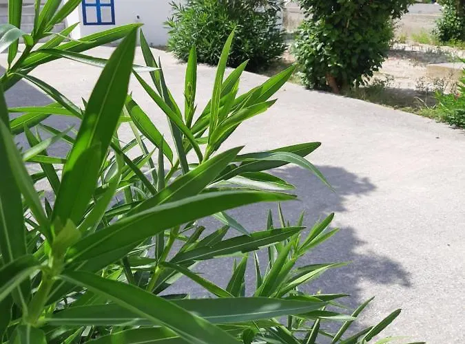 Appartamento Politis